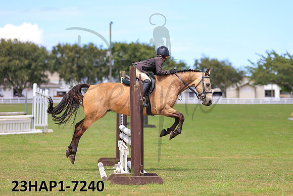 23HAP1-7240