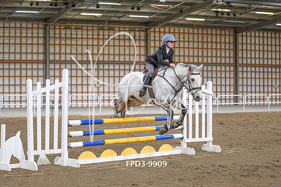 FPD3-9909