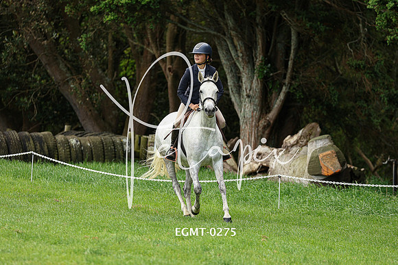 EGMT-0275