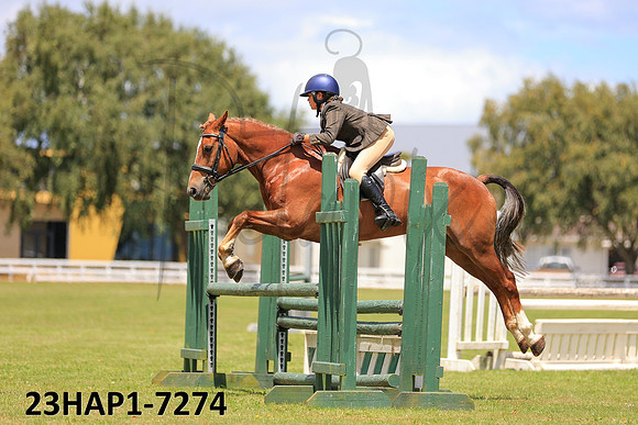 23HAP1-7274