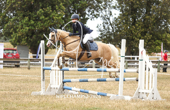 NIPCCHAMPS2-7926