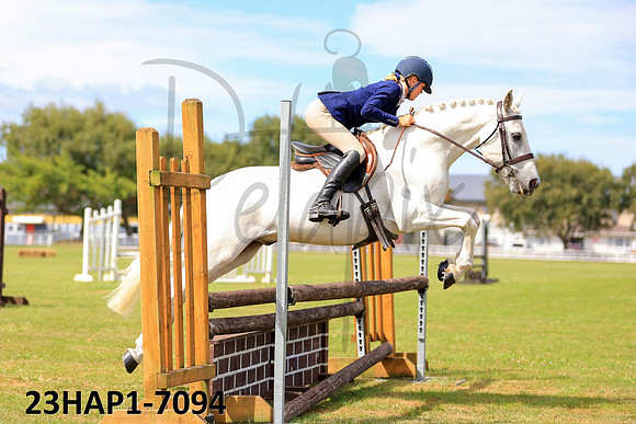 23HAP1-7094