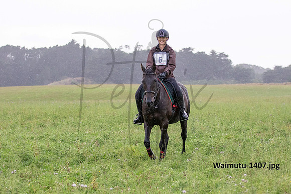 Waimutu-1407