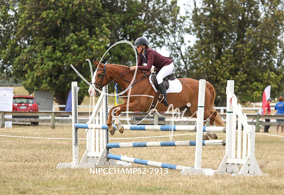 NIPCCHAMPS2-7913