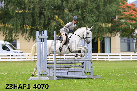 23HAP1-4070