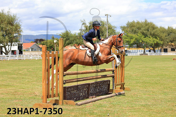 23HAP1-7350