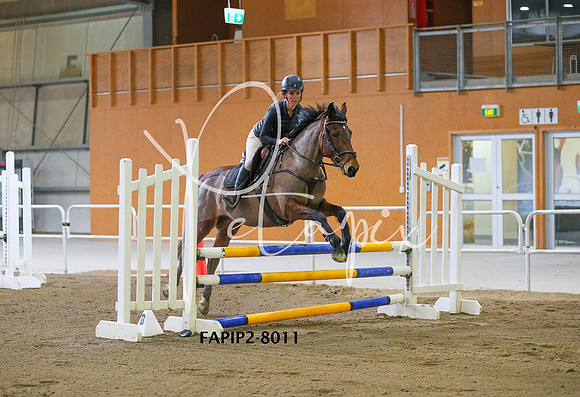 FAPIP2-8011