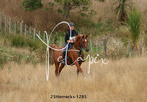 25Horrocks-1285