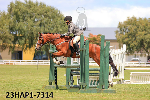 23HAP1-7314