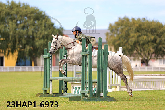 23HAP1-6973