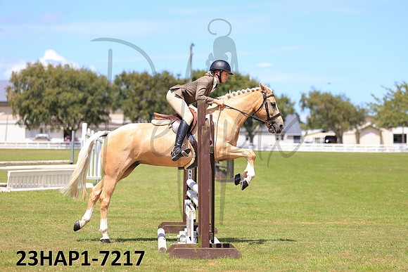 23HAP1-7217