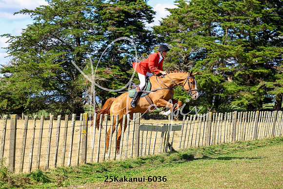 25Kakanui-6036