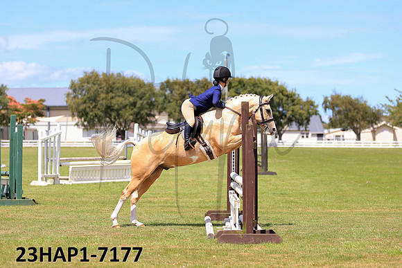 23HAP1-7177
