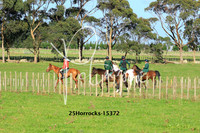 25Horrocks-15372