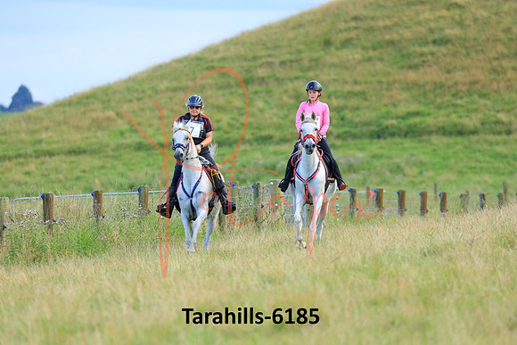 Tarahills-6185