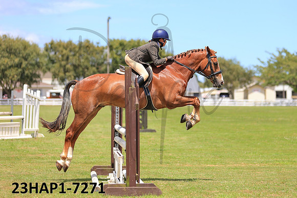 23HAP1-7271