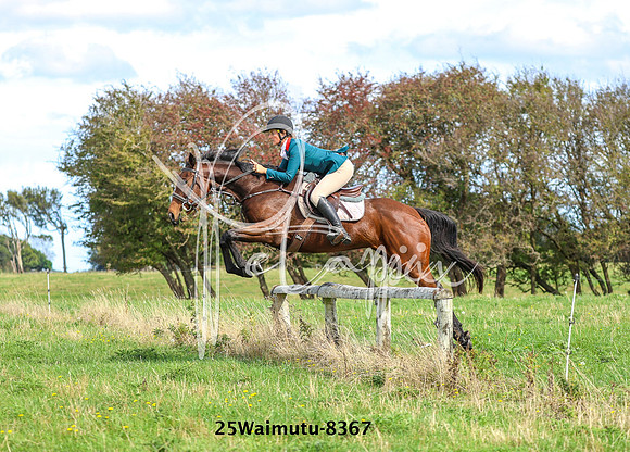 25Waimutu-8367