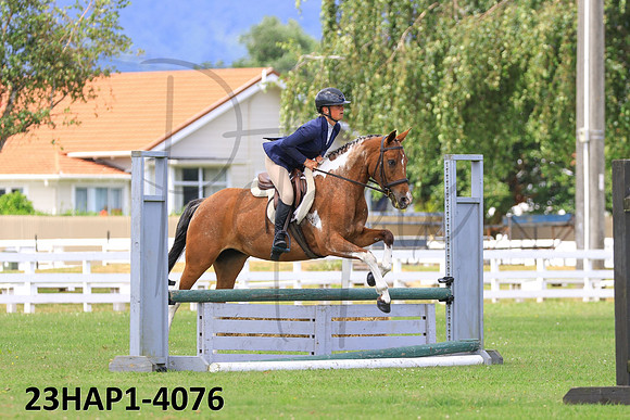23HAP1-4076