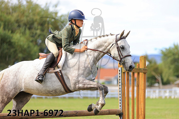 23HAP1-6972