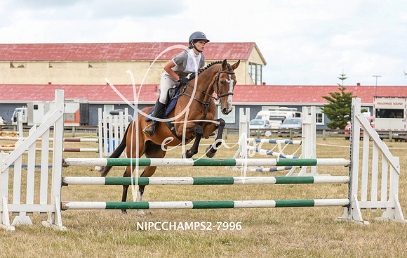 NIPCCHAMPS2-7996