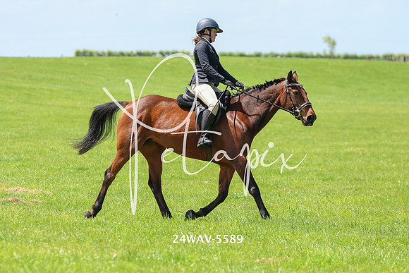 24WAV-5589