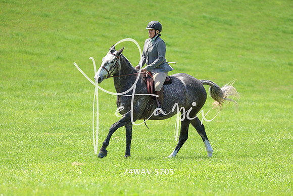24WAV-5705