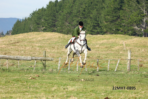 22MHT-0895