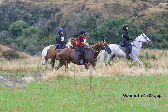 Waimutu-1702