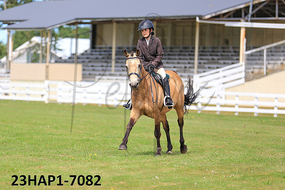 23HAP1-7082