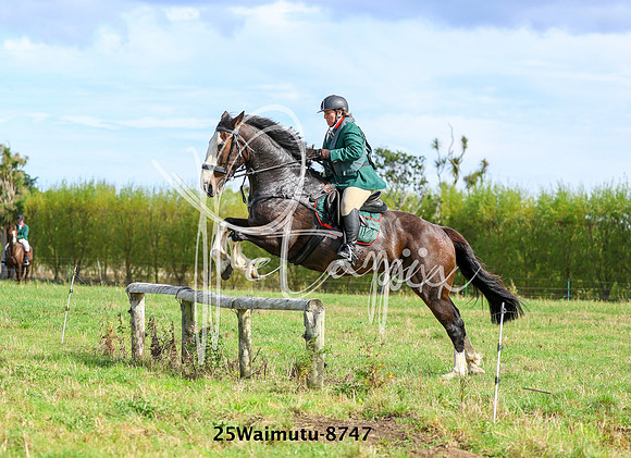25Waimutu-8747