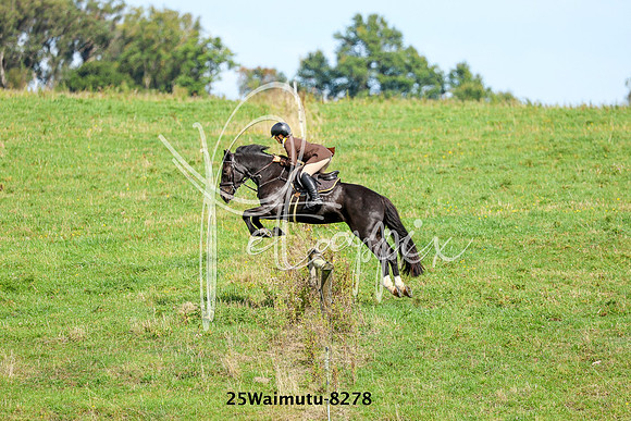 25Waimutu-8278