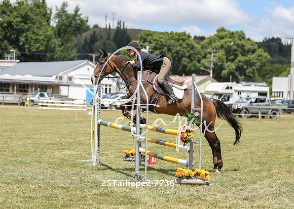 25Taihape2-7736