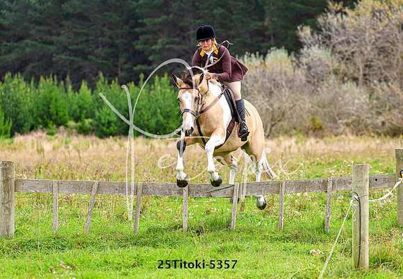 25Titoki-5357