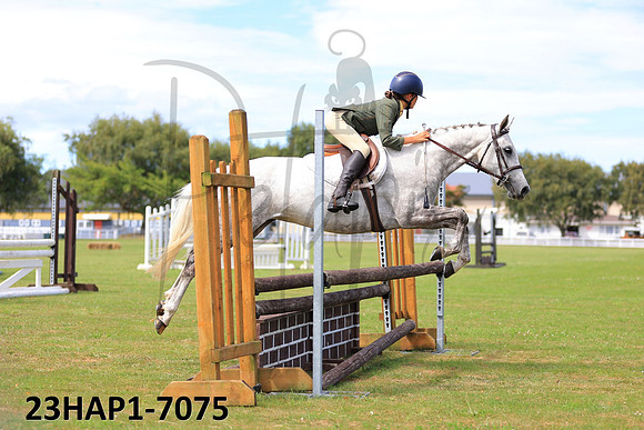 23HAP1-7075