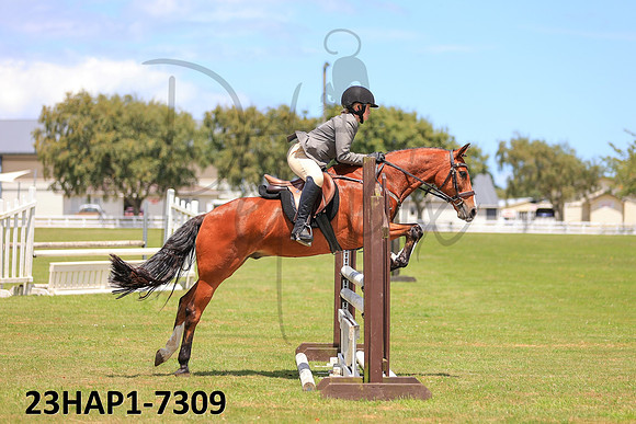 23HAP1-7309