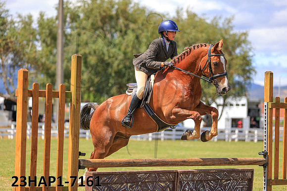 23HAP1-7161