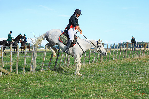 TaraHill-0564