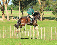 25Horrocks-15359
