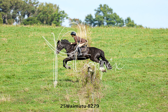 25Waimutu-8279