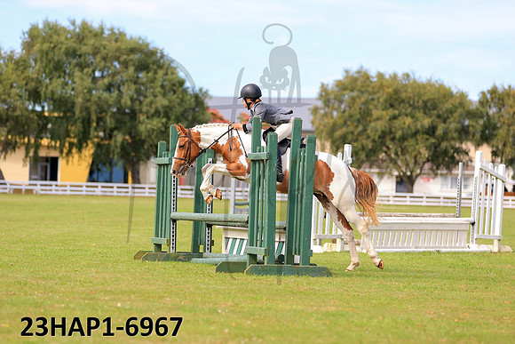 23HAP1-6967