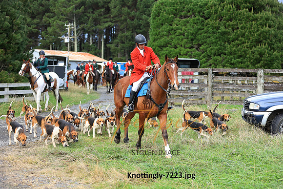 Knottingly-7223