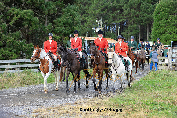 Knottingly-7245