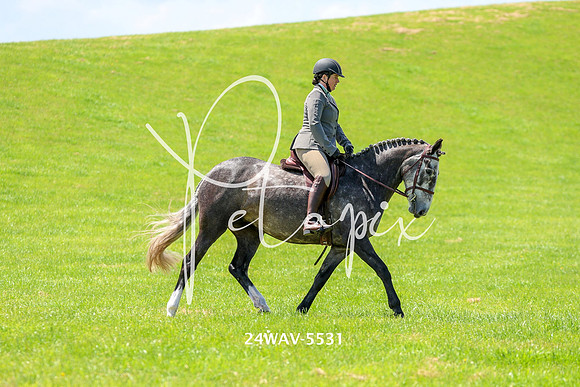 24WAV-5531