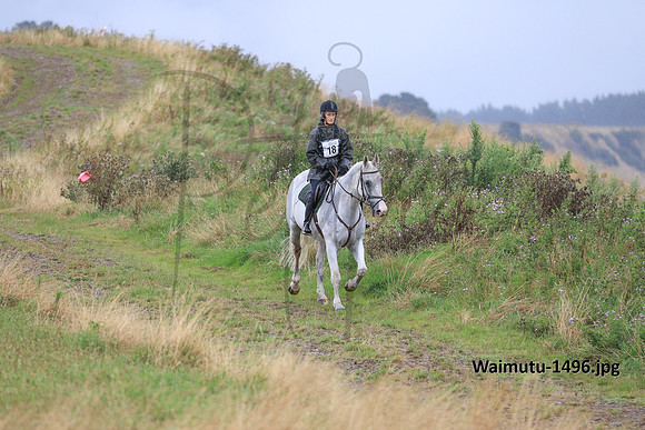 Waimutu-1496