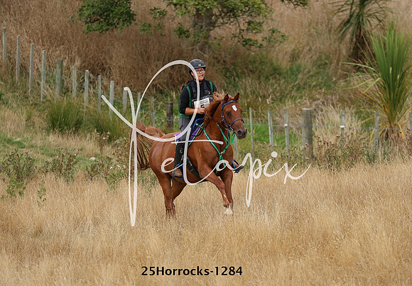 25Horrocks-1284