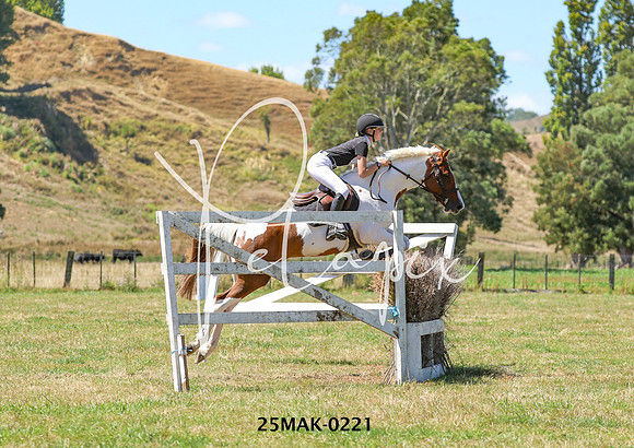 25MAK-0221