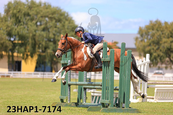 23HAP1-7174
