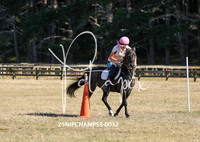 25NIPCHAMPS3-0032