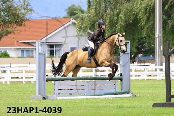 23HAP1-4039