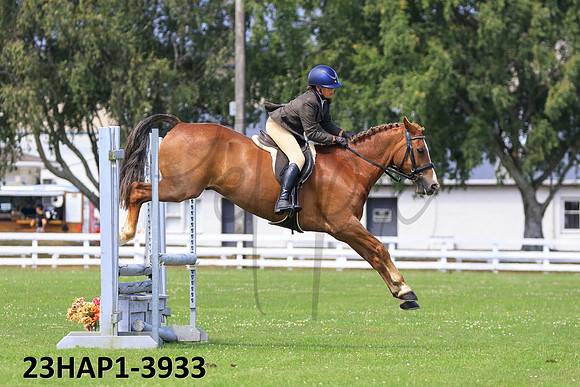 23HAP1-3933